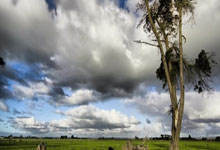 开云在线赛事平台-冰与火的碰撞，字母哥关键节点连续得分，凯尔特人力克吉林队